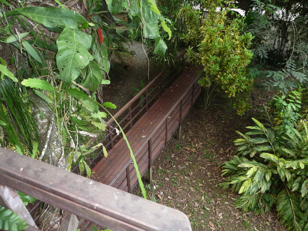 卡维塔拓扑斯树屋别墅 外观 照片